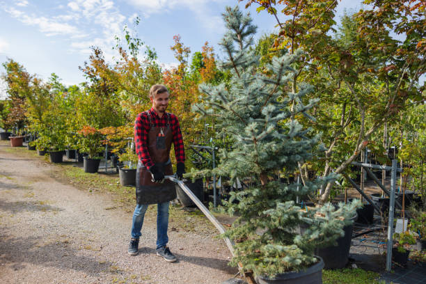 Best Tree Planting  in Richmond, MI